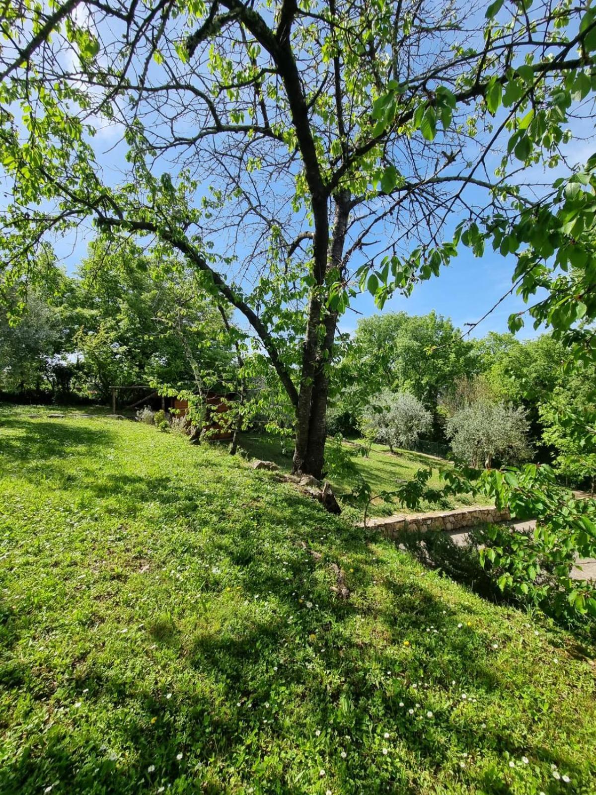 Dimora Nel Chianti Guest House San Sano Exterior photo